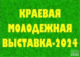 ВАЖНАЯ Информация от Союза Художников России(Хабаровского краевого)